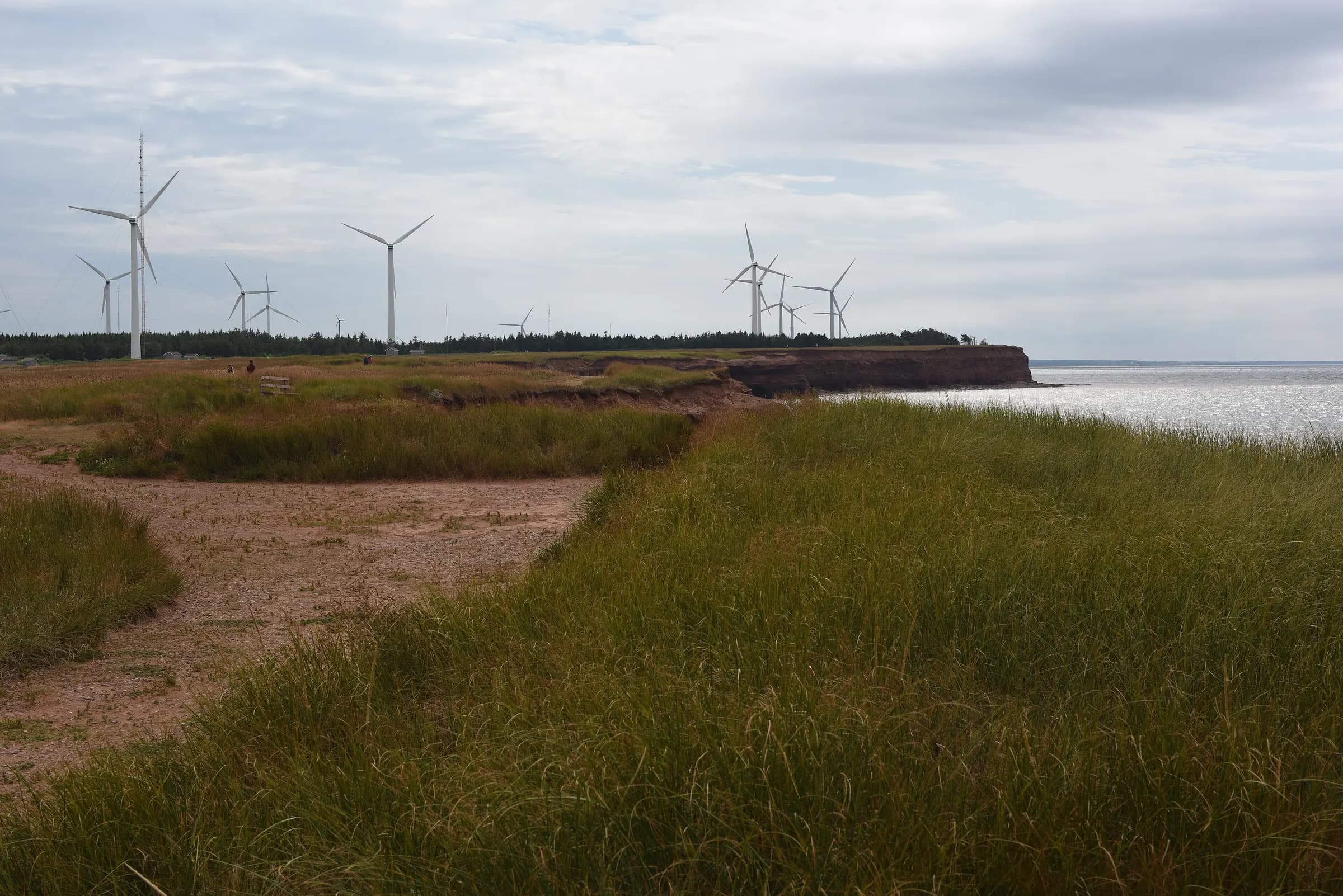 Wind turbines rising behind marram grass and red sandstone cliffs beside the sea at North Cape, Prince Edward Island