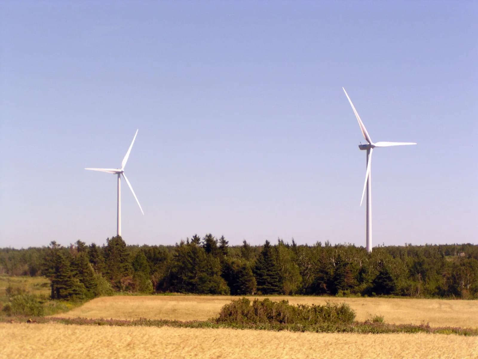 Two wind turbines above a spruce treeline and a golden field under clear blue sky in rural Prince Edward Island